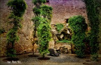 /album/fotogaleria-girona/josep-tets-de-flors-girona-2016-021-640x480-jpg/